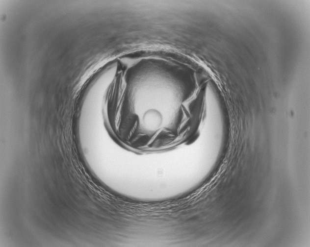 X0000087011263200705141822