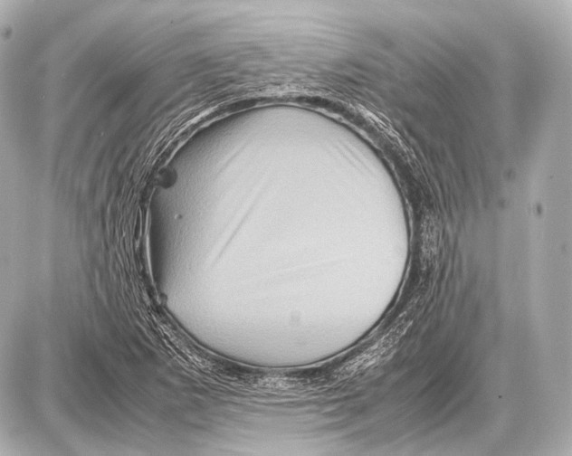 X0000087011265200705141822