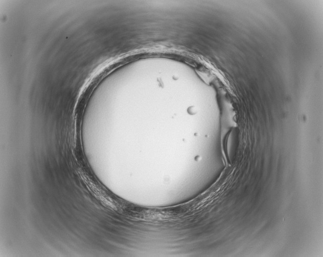 X0000087011270200705141822