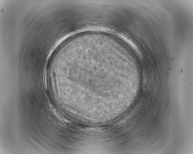 X0000087011272200705141822