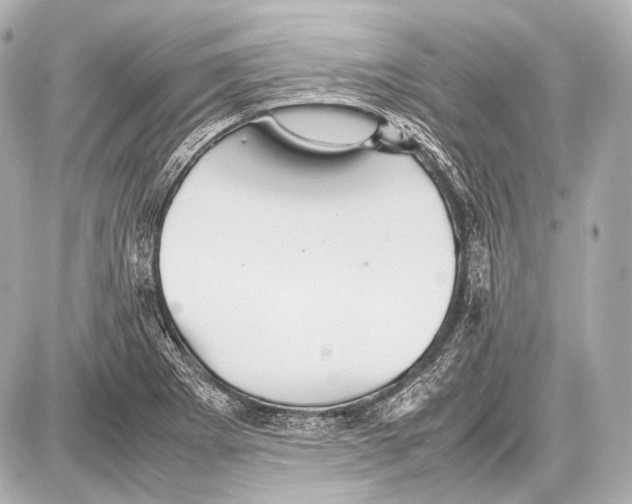 X0000087011273200705141822