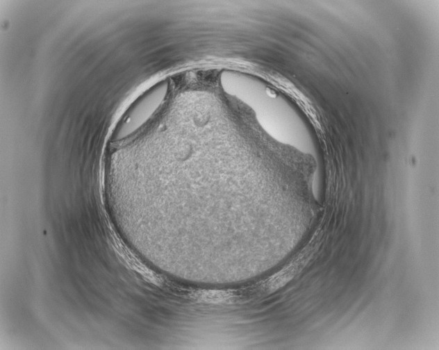 X0000087011280200705141822