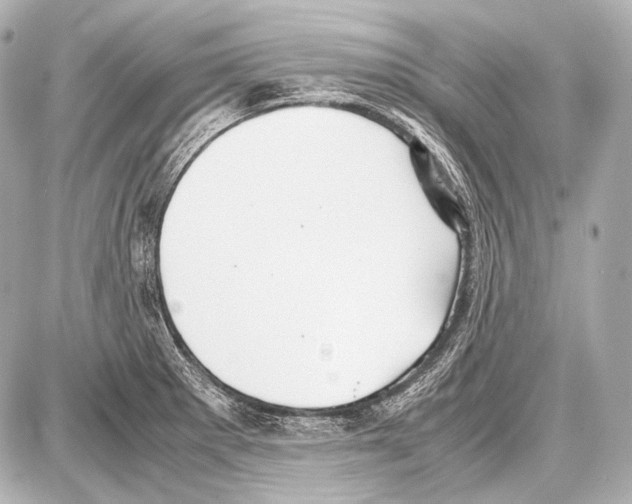 X0000087011281200705141822