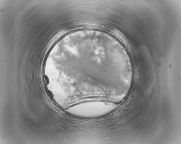 X0000087011283200705141822