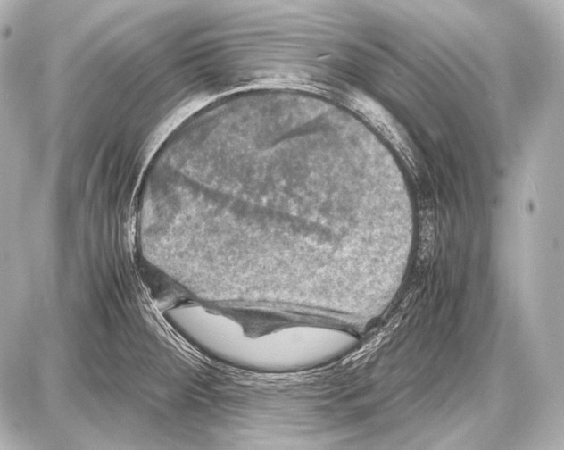 X0000087011284200705141822