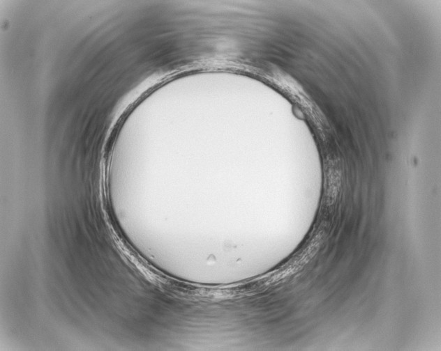 X0000087011286200705141822