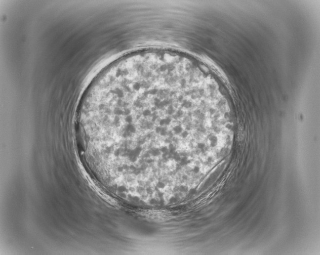 X0000087011287200705141822