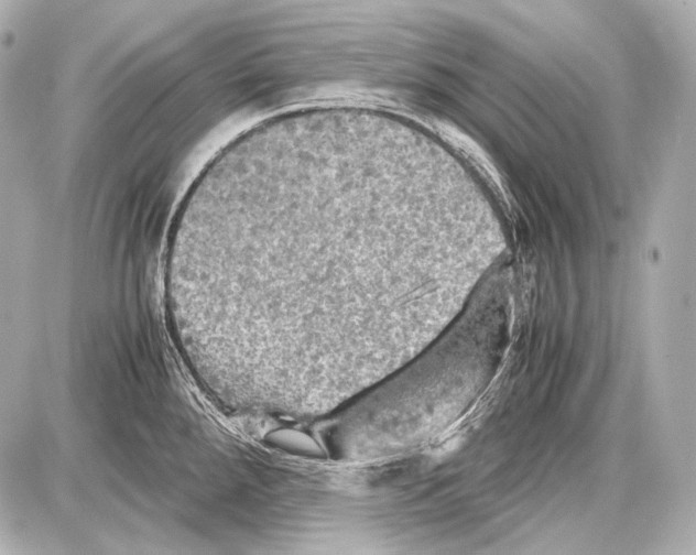 X0000087011288200705141822