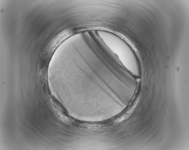 X0000087011289200705141822