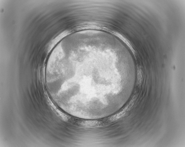 X0000087011290200705141822