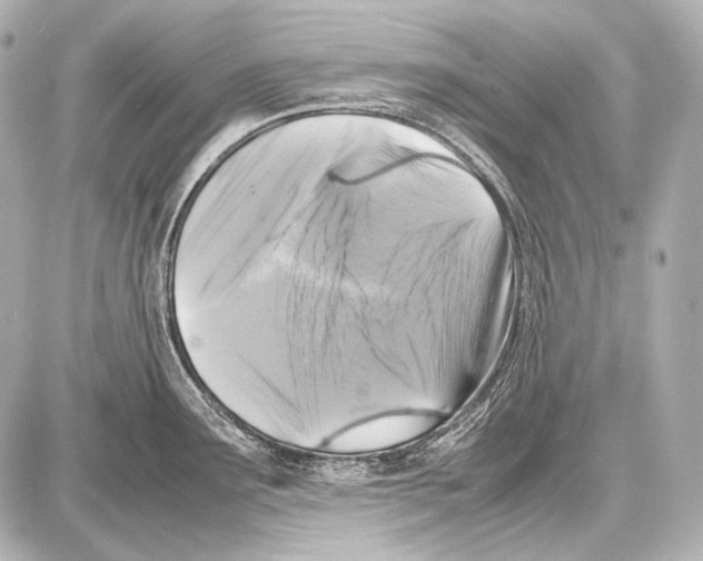 X0000087011291200705141822