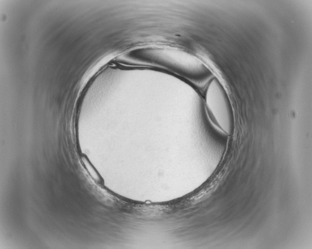 X0000087011293200705141822