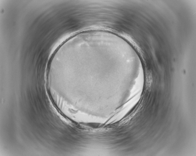 X0000087011294200705141822