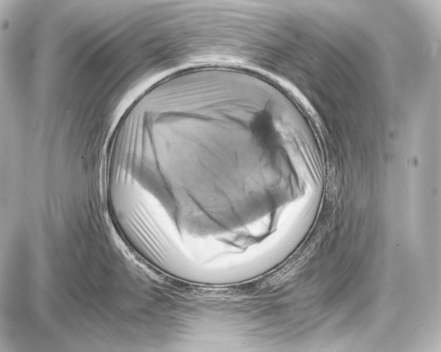 X0000087011295200705141822