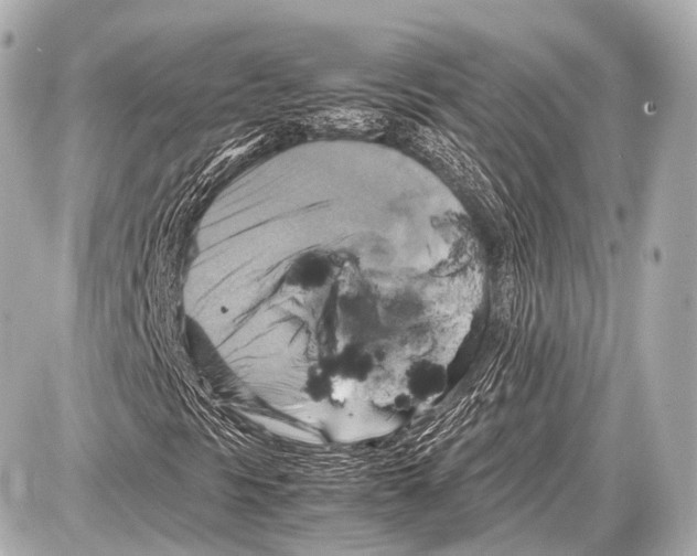 X0000087011297200705141821