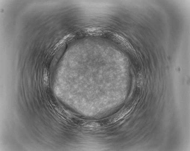 X0000087011298200705141821