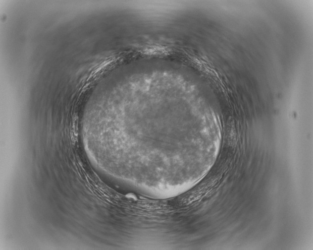 X0000087011301200705141821