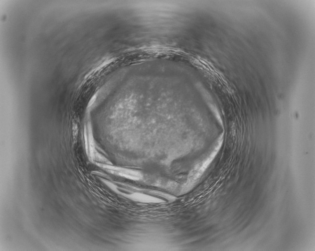 X0000087011302200705141821