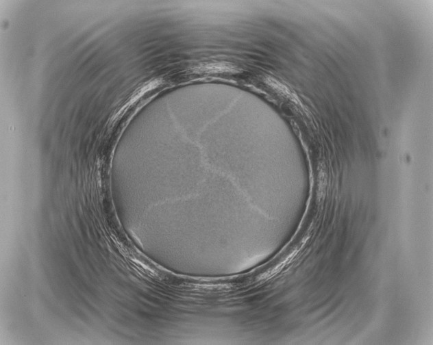 X0000087011305200705141821