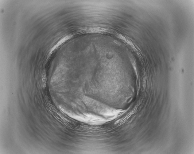 X0000087011306200705141821