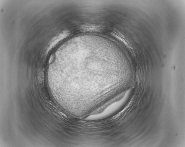 X0000087011309200705141821