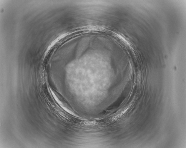 X0000087011310200705141821