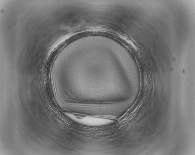 X0000087011311200705141821