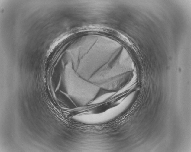 X0000087011312200705141821