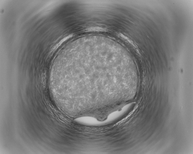 X0000087011313200705141821