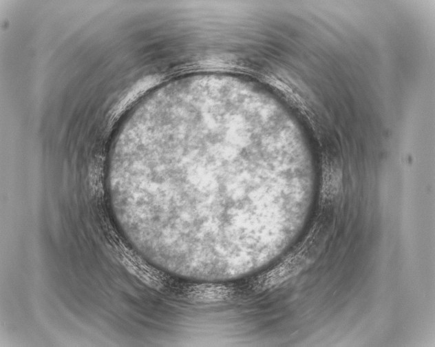 X0000087011314200705141821