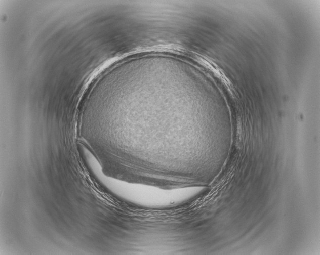 X0000087011316200705141821