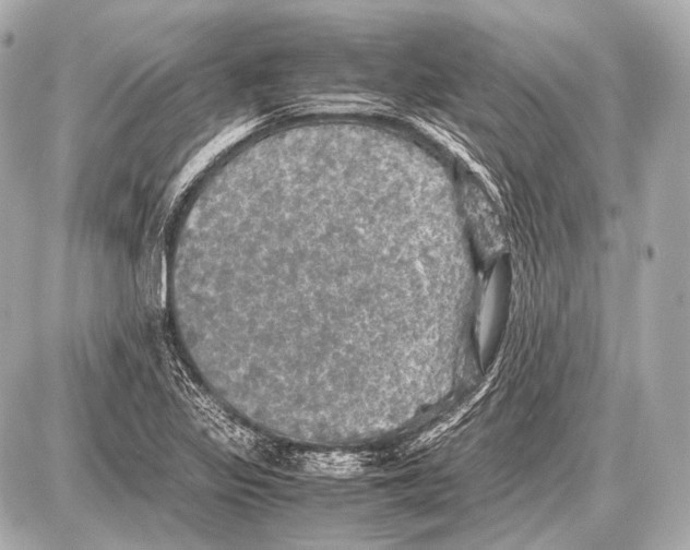 X0000087011317200705141821