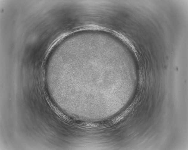 X0000087011318200705141821