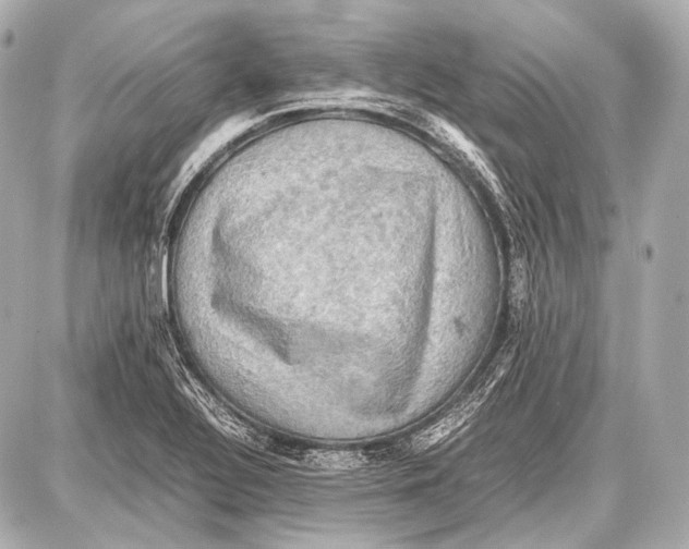 X0000087011320200705141821