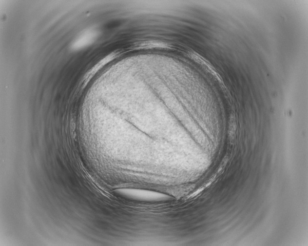 X0000087011321200705141821