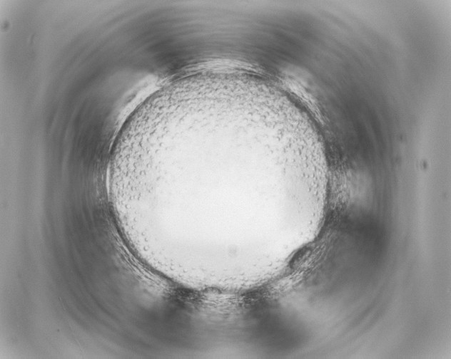 X0000087011322200705141821