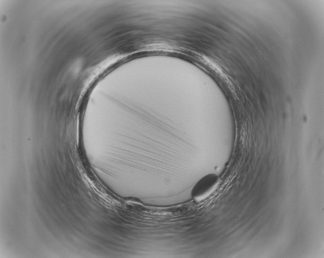 X0000087011323200705141821