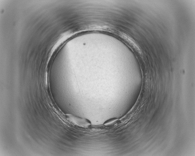 X0000087011324200705141821