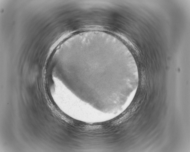 X0000087011325200705141821