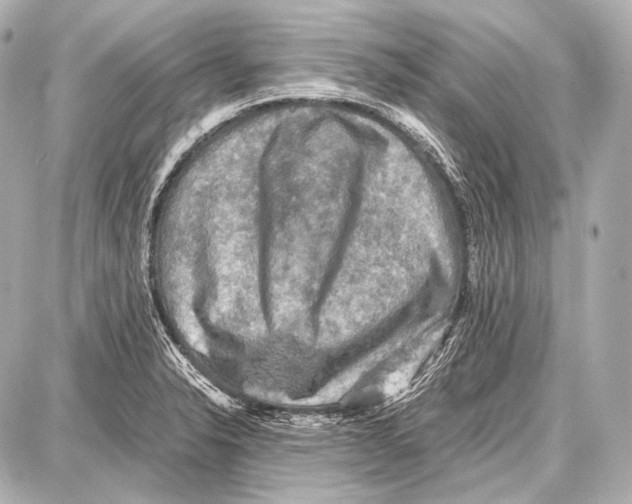 X0000087011326200705141821