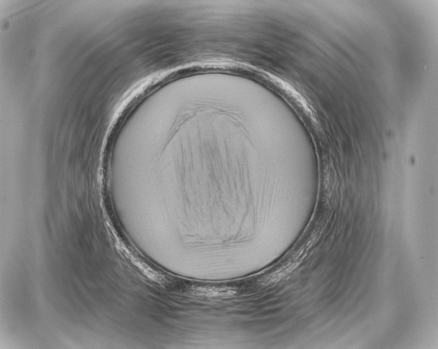 X0000087011327200705141821