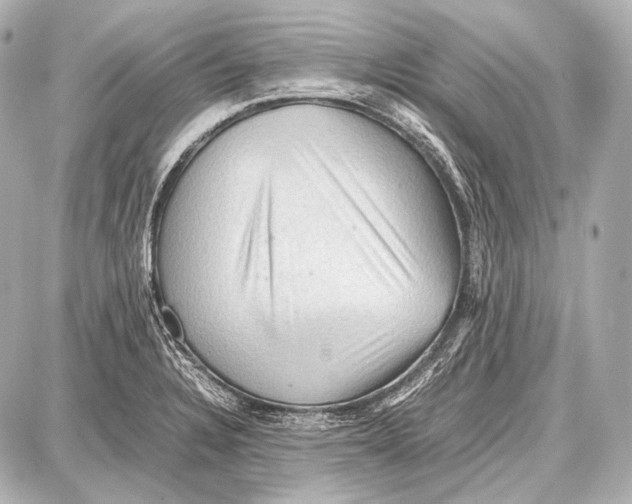 X0000087011328200705141821