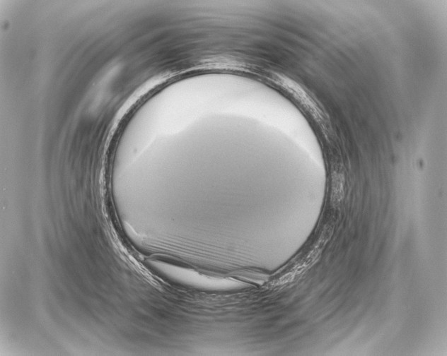 X0000087011331200705141821