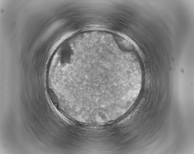 X0000087011333200705141822