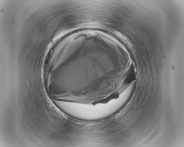 X0000087011334200705141822