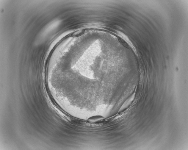 X0000087011339200705141822