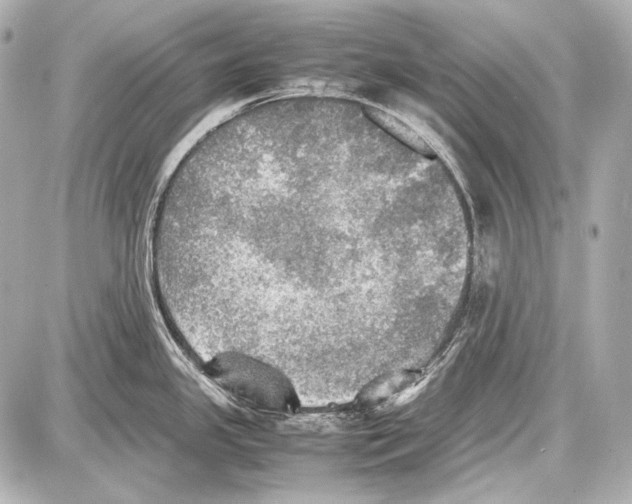 X0000087011341200705141822