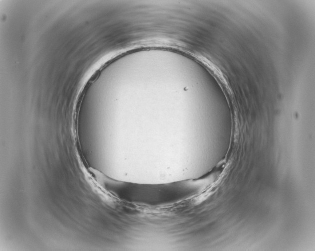 X0000087011342200705141822