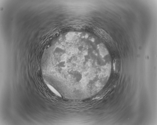 X0000087011347200705141821