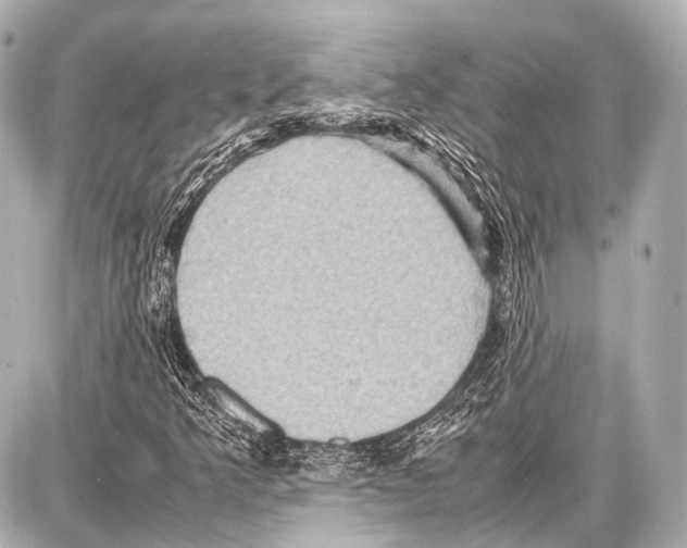 X0000087011349200705141821